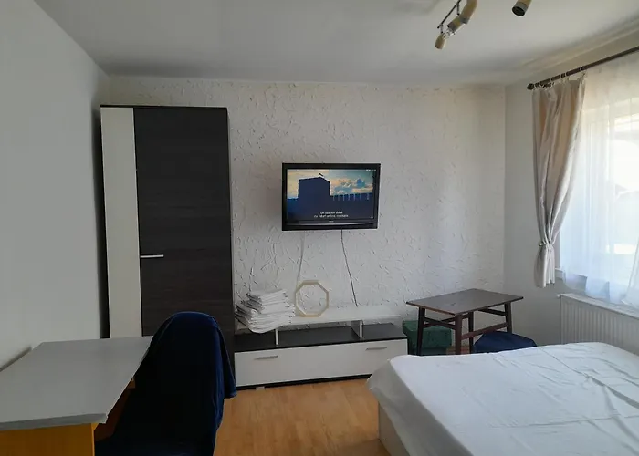 Garsoniera Sic Zona Terapia Zona Linistita La Casa Cu Parcare * Cluj-Napoca