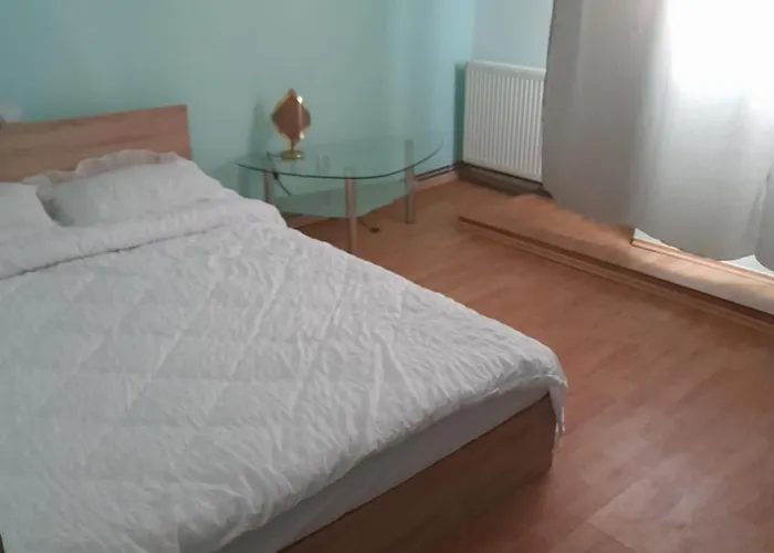 Garsoniera Sic Zona Terapia Zona Linistita La Casa Cu Parcare *